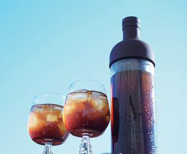 Hario Cold Brew Coffee Filter in Bottle (Black)