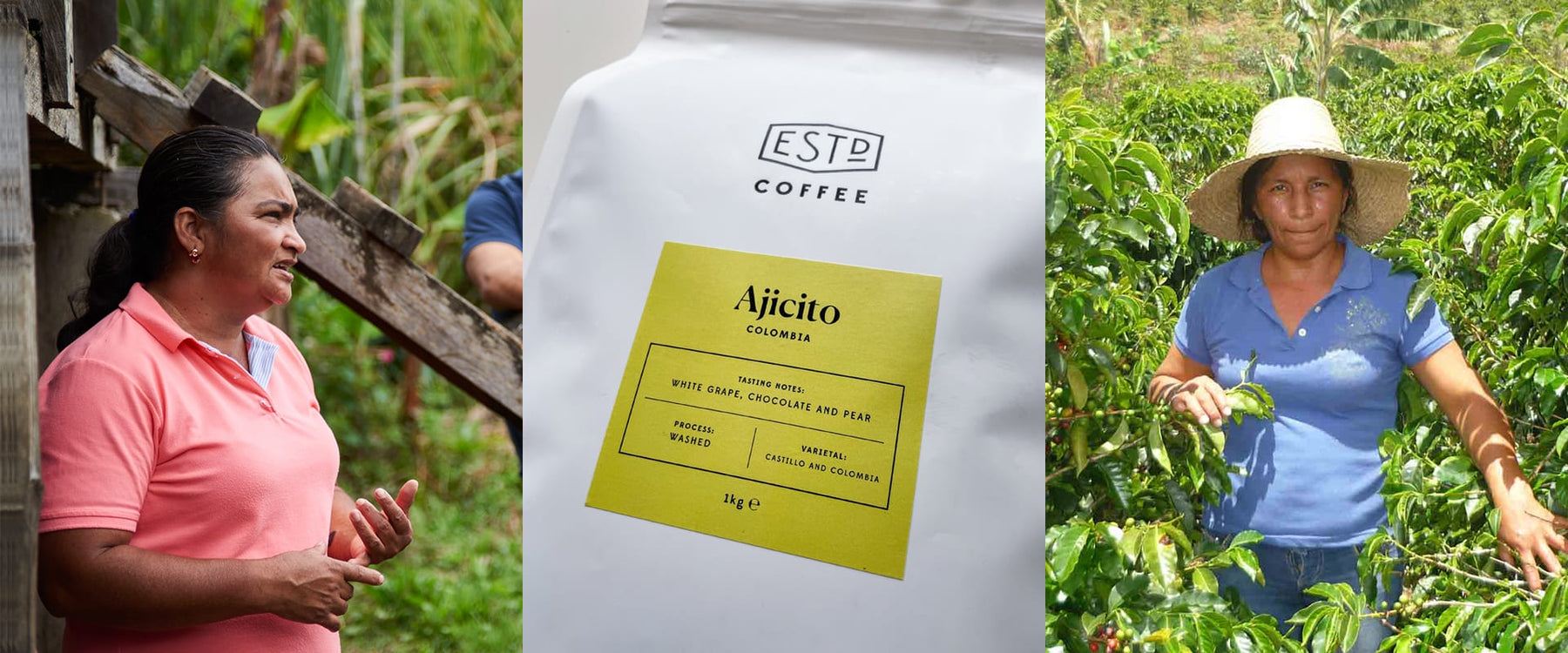ASMUCAFE: Colombia’s All-Female Coffee Production Group Behind October’s Filter Coffee
